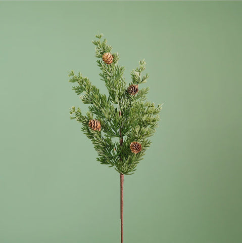 PREMIUM SCOTCH PINE WITH CONES