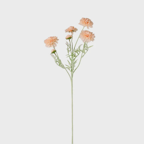 MELODY SPRAY PEACH
