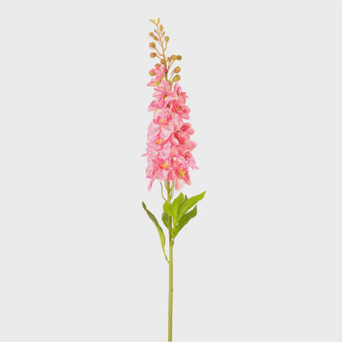 DELPHINIUM LARGE HOT PINK