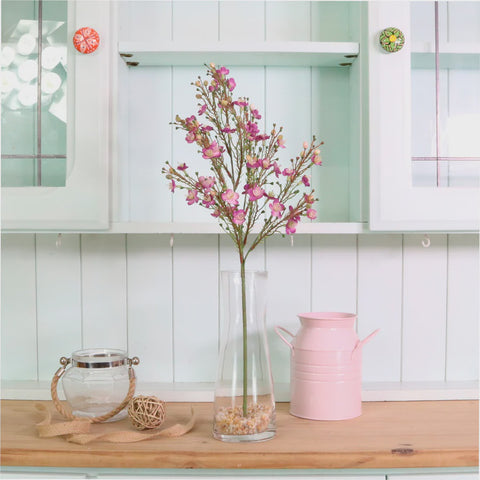 WAXFLOWER CHAMELAUCIUM PURPLE