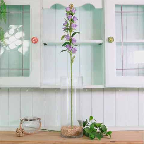 CAMPANULA BELL FLOWER PURPLE