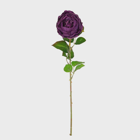 LOLA PEONY PURPLE