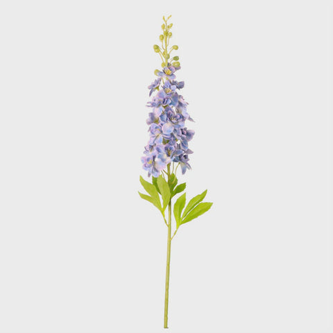 DELPHINIUM LARGE OCEAN BLUE