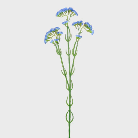 STATICE SPRAY BLUE