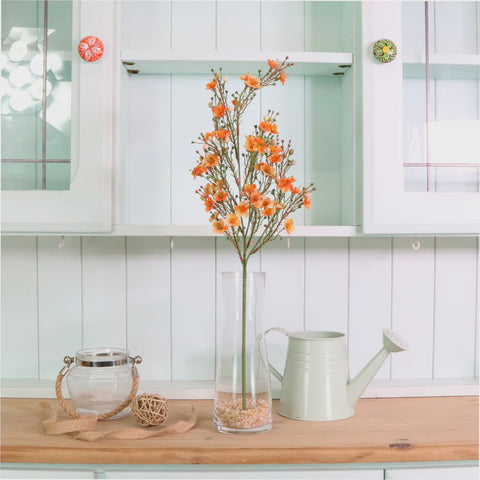 WAXFLOWER CHAMELAUCIUM ORANGE