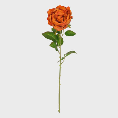 LOLA PEONY ORANGE