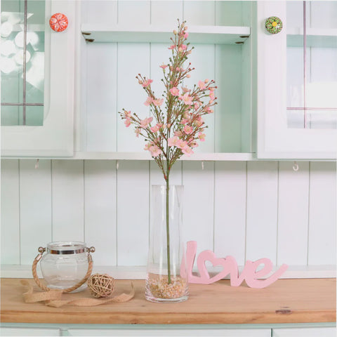 WAXFLOWER CHAMELAUCIUM PINK