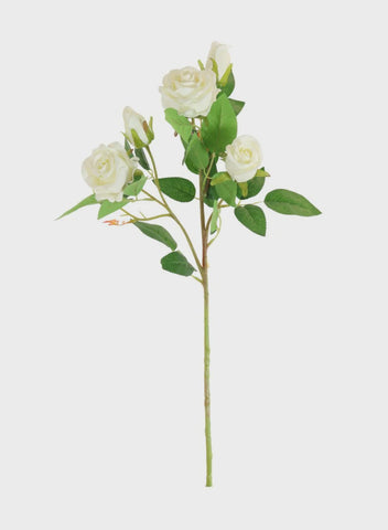 ROSE SPRAY ISSY CREAM