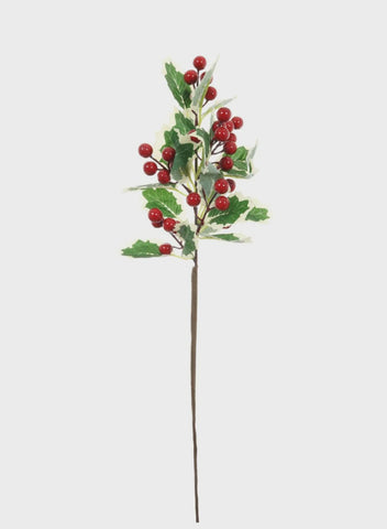 VARIGATED HOLLY SPRAY WITH BERRIES