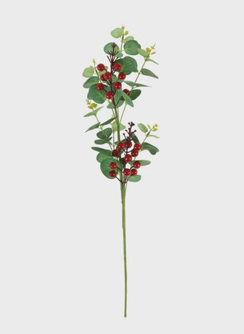 EUCALYPTUS AND BERRY STEM