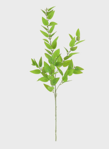 HONEYSUCKLE LEAF SPRAY GREEN