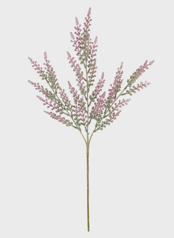 TALL BELL LAVENDER SPRAY PINK