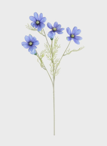 COSMOS SPRAY BLUE