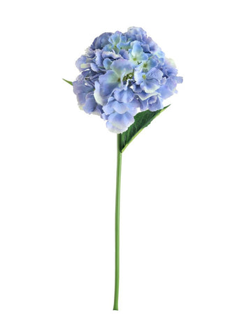 FRENCH HYDRANGEA BLUE