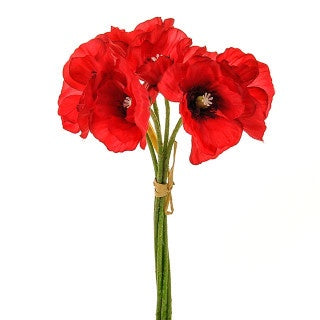 POPPY BUNDLE RED x 6