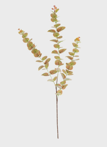 PRINTED EUCALYPTUS SPRAY ORANGE