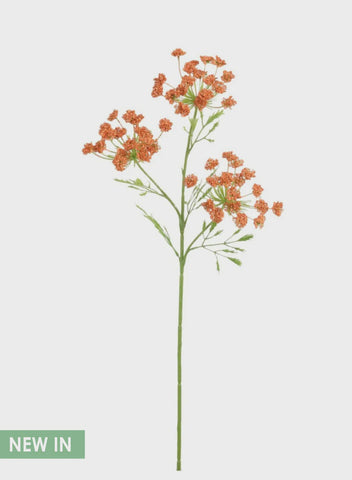 COW PARSLEY BURNT ORANGE