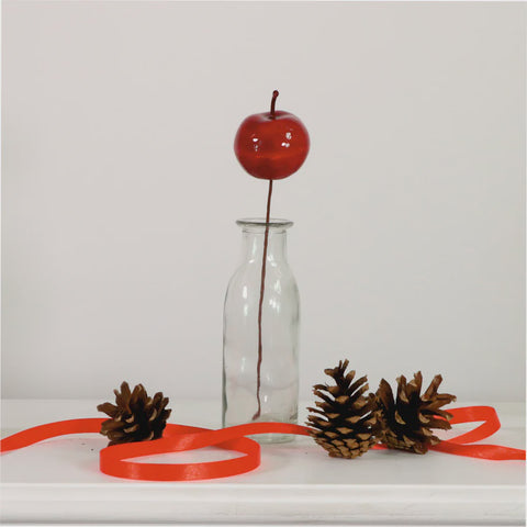 12 X RED APPLE PICKS