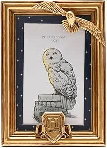WARNER BROS HARRY POTTER ALUMNI GOLD PHOTO FRAME HEDWIG
