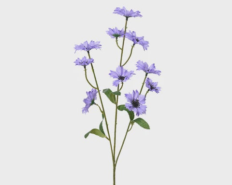 CORNFLOWER LILAC