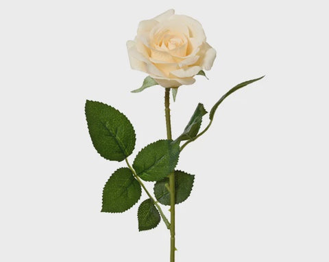 ROSE SINGLE PEACH