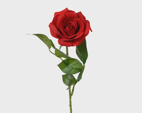 ROSE SINGLE RED
