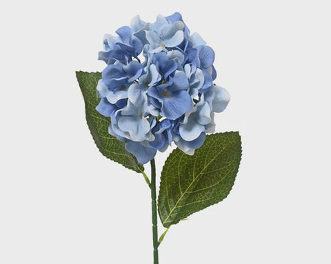 HYDRANGEA BLUE