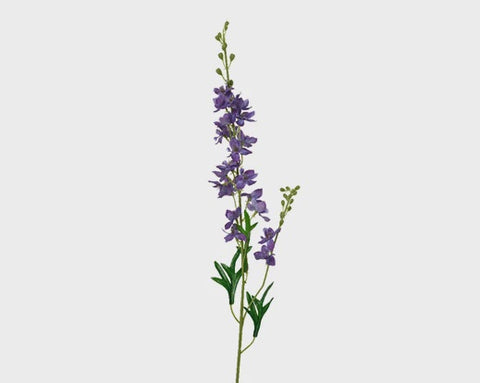 DELPHINIUM THIN PURPLE