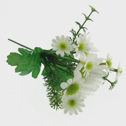 WHITE DAISY PICK