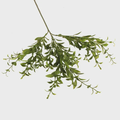 SPRAY HUCKLEBERRY GREEN