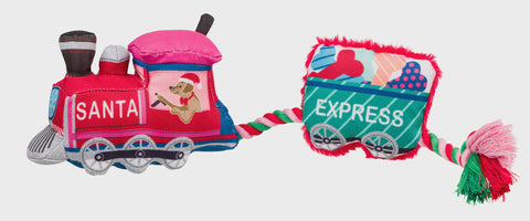 HOUSE OF PAWS MERRY & BRIGHT SANTA PAWS EXPRESS DOG TOY