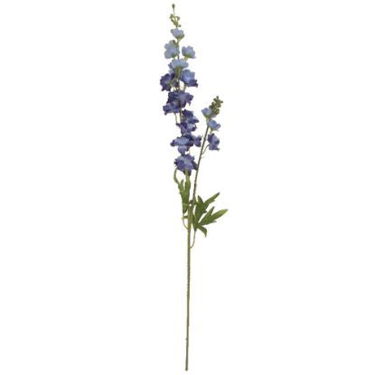 DELPHINIUM BLUE/PURPLE