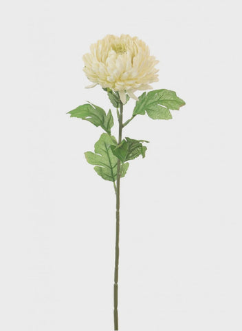 MUM SINGLE CREAM SMALL