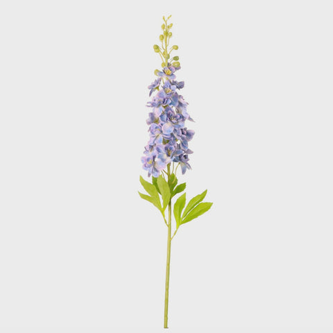 DELPHINIUM LARGE PALE BLUE