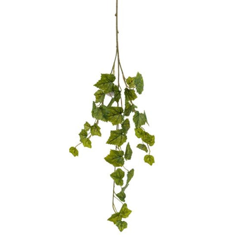 TRAILING MAPLE SPRAY GREEN
