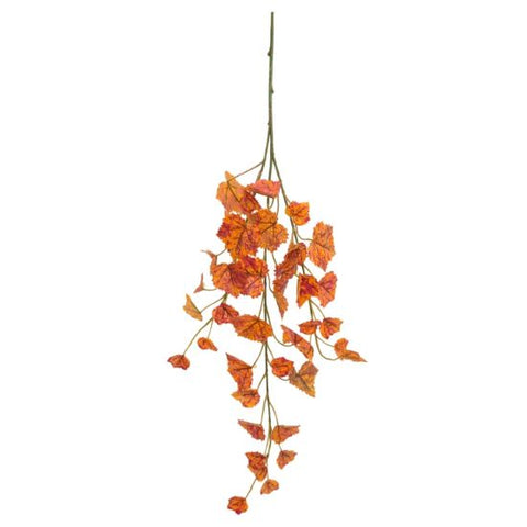 TRAILING MAPLE SPRAY ORANGE