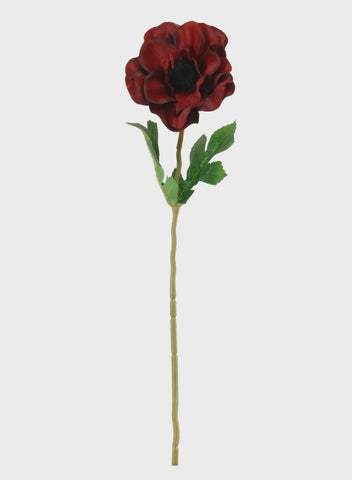 ANEMONE STEM RED