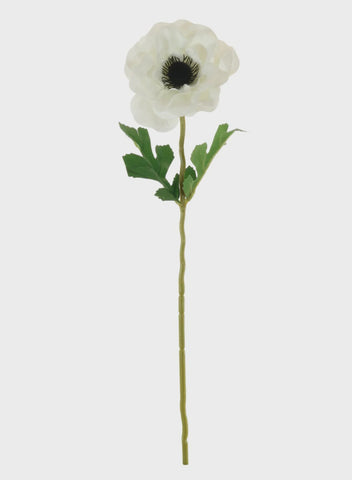ANEMONE STEM CREAM