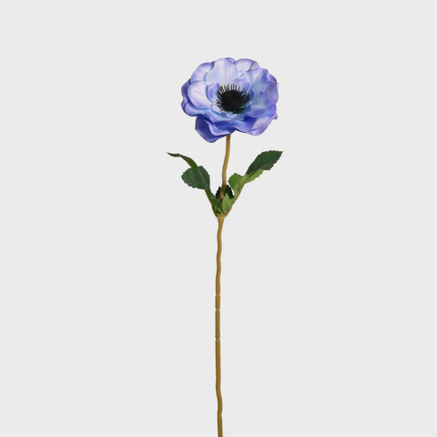 ANEMONE STEM BLUE