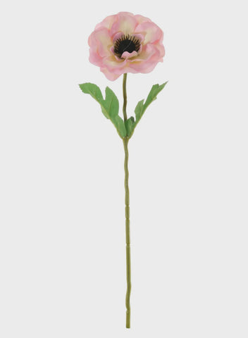 ANEMONE STEM PALE PINK
