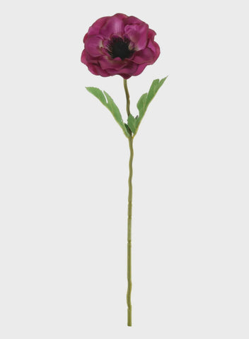 ANEMONE STEM MAGENTA