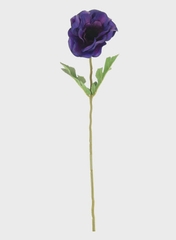 ANEMONE STEM PURPLE