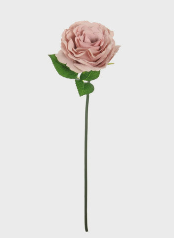 ROSE SHORT TUDOR  DUSTY PINK