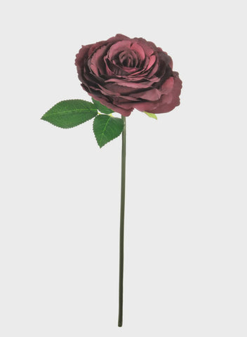 ROSE SHORT TUDOR GRAPE