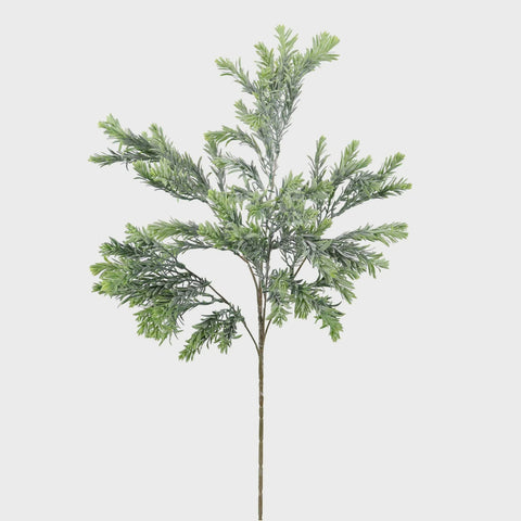 RAVEN LEAF SPRAY GREEN