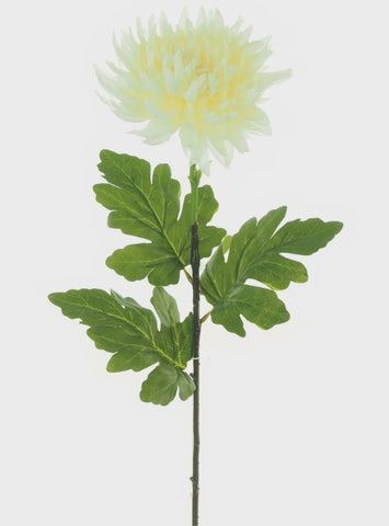 MUM SPIKY CREAM