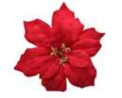 RED POINSETTIA ON CLIP
