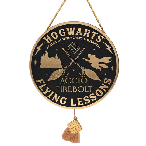 WARNER BROS HARRY POTTER ALUMNI PENDENT FLYING LESSON