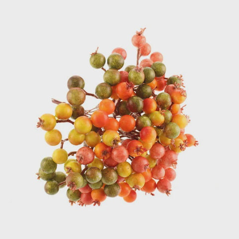 16CM AUTUMN BERRY BUNDLE