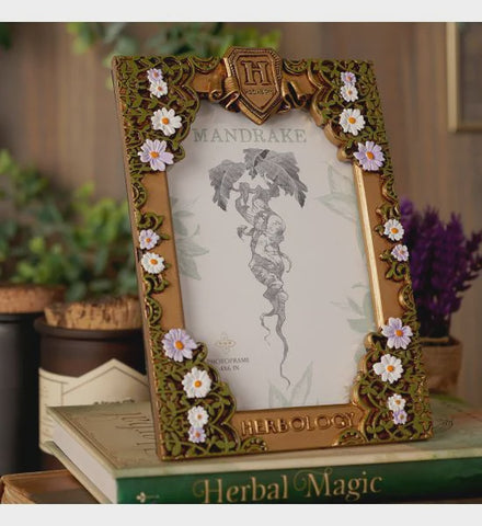 WARNER BROTHERS HARRY POTTER HERBOLOGY FRAME